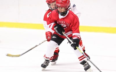 TeamLinkt: The Ultimate Choice for Minor Hockey Associations