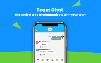 TeamLinkt Chat Section: Explained!
