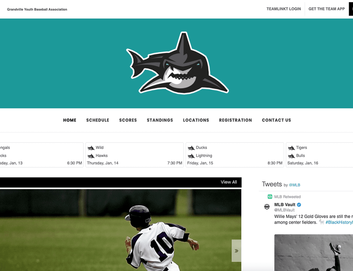 baseball league website