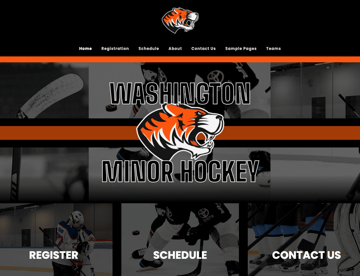 minor hockey association website