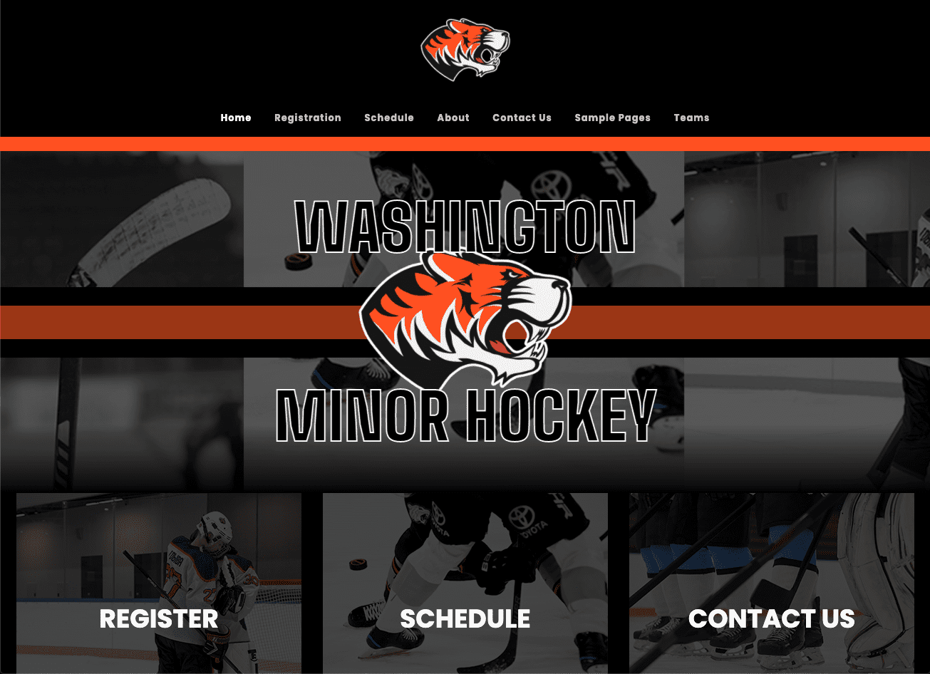 free hockey association website