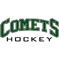 saskatoon comets female hockey