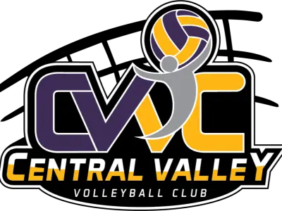 volleyball website 4