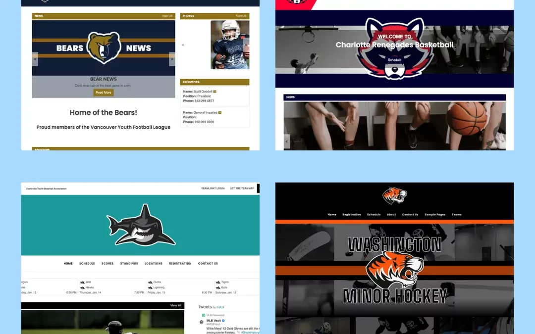 How to Promote Your Youth Sports Organization’s Website | TeamLinkt